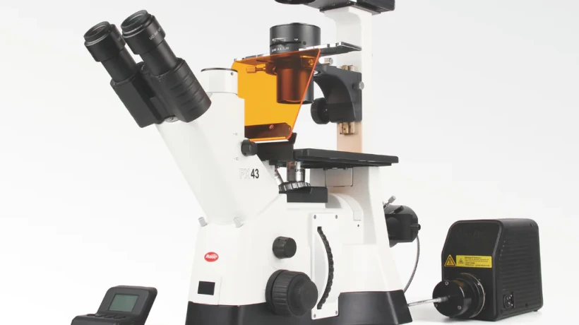 Why Should Every Life Sciences Lab Course Should Teach Fluorescent Microscopy First?