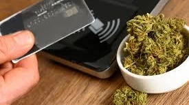 Dispensary Credit Card Processing: What Cannabis Businesses Need to Know