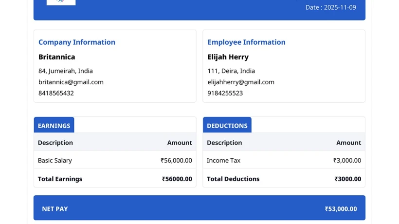 Free Paystub Template Resources for Easy Income Documentation