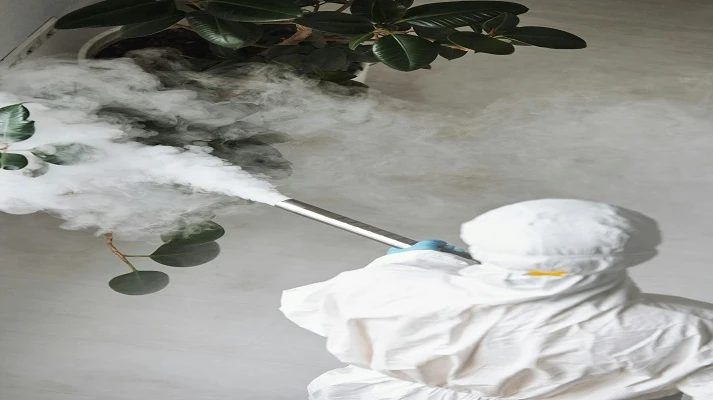 Protecting Outdoor Living Areas with Professional Pest Control in North Lakes