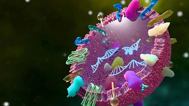 How Exosome Therapy Is Transforming Hair Regrowth Treatments: