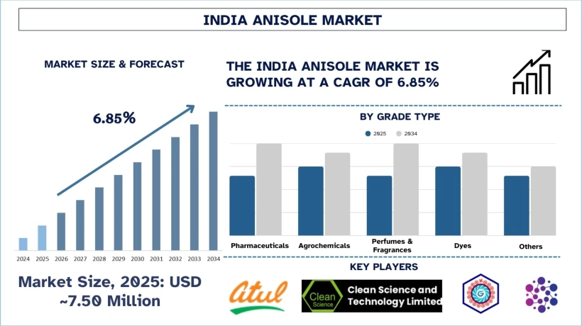 India Anisole Market Size, Share, Trends, Demands, Growth & Analysis 2034 | UnivDatos