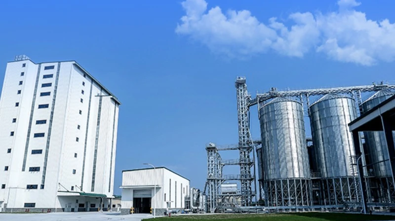 How to Setup a Poultry Feed Manufacturing Plant in 2026: Cost Analysis, Revenue Potential & Industry Trends