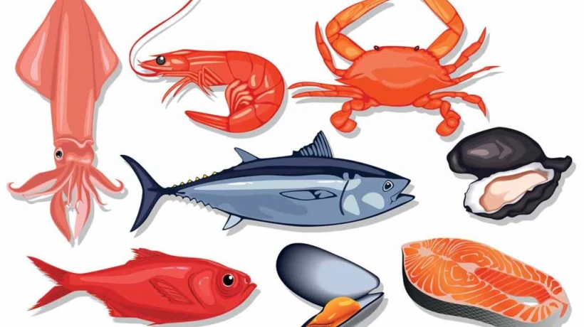 Seafood Choices for Better Daily Nutrition