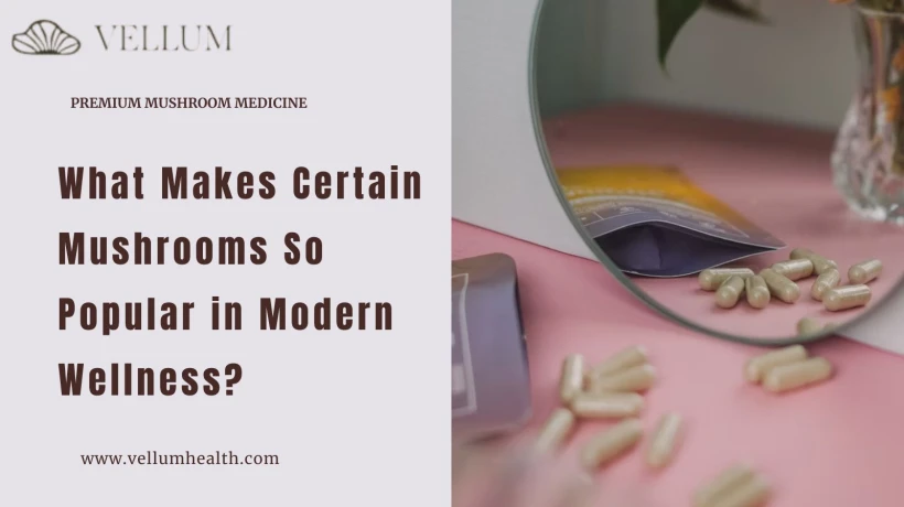 How Mushroom Capsules Support Health & Mental Wellness