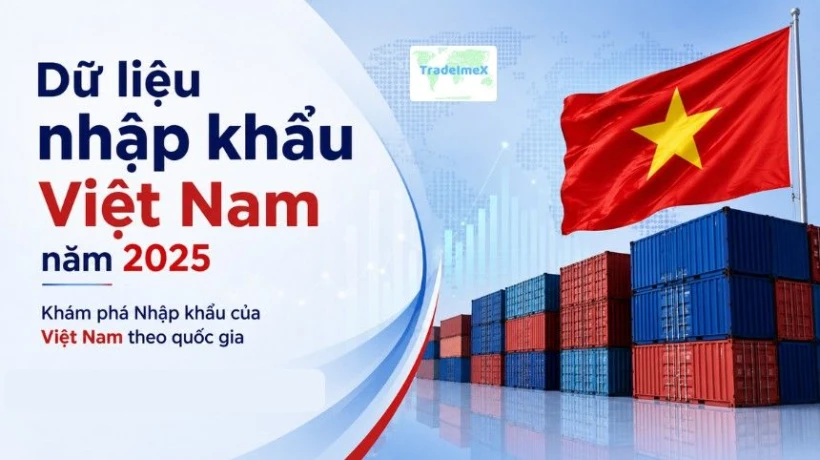 Dữ liệu nhập khẩu Việt Nam năm 2025: Khám phá Nhập khẩu của Việt Nam theo quốc gia