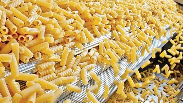 Pasta Manufacturing Plant Feasibility Report 2026: Investment, Raw Materials & Profitability