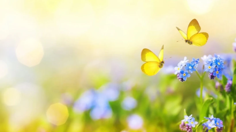 Could Your Obituary in Mesa AZ Become a Lasting Family Legacy?
