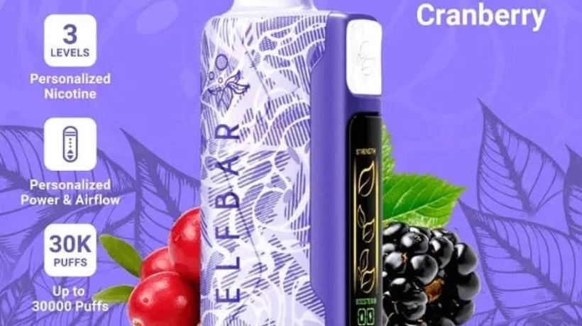 Disposable Vape: A Complete Buying Guide for Adult Vapers