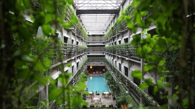 Cuánto cuesta un jardín vertical: factores que determinan el precio