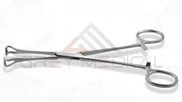 Master Precision in Surgery with Babcock's Tissue Forceps