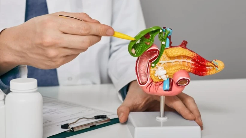 How Do Gallstones Affect Digestion?