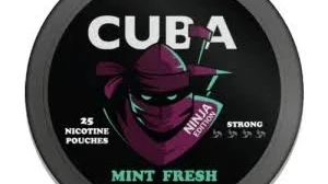 Mint Nicotine Pouches: Health Effects and Precautions