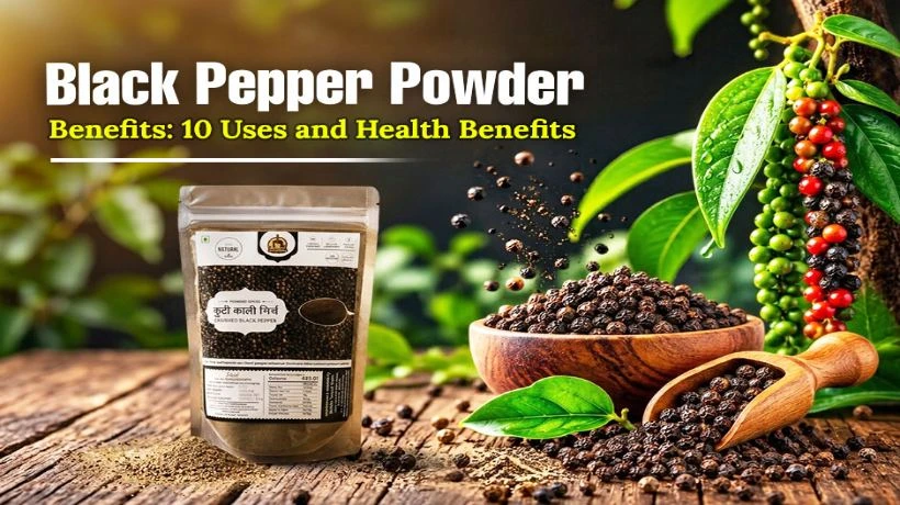 Black Pepper Powder Benefits: A Natural Touch for Everyday Meals