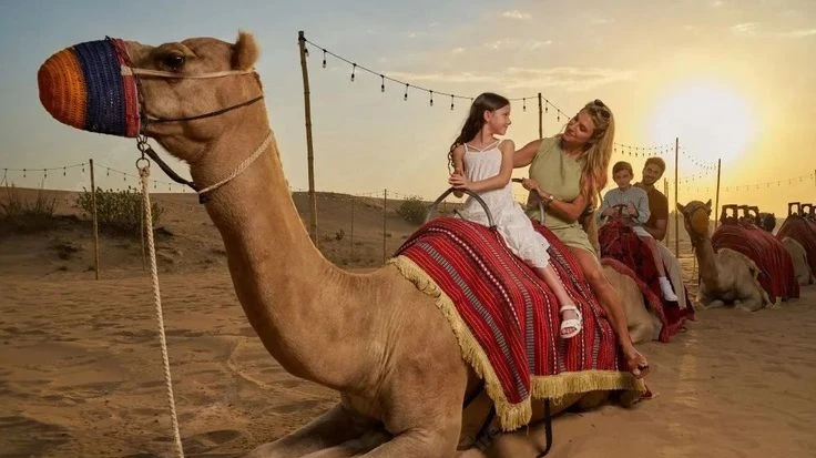 A Complete Guide to Safe and Respectful Desert Travel in Dubai
